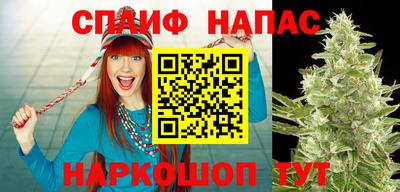 гашик Ливны
