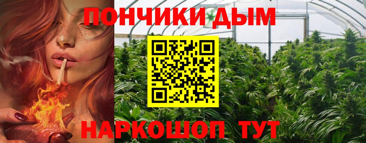Шишки марихуана сатива Десногорск